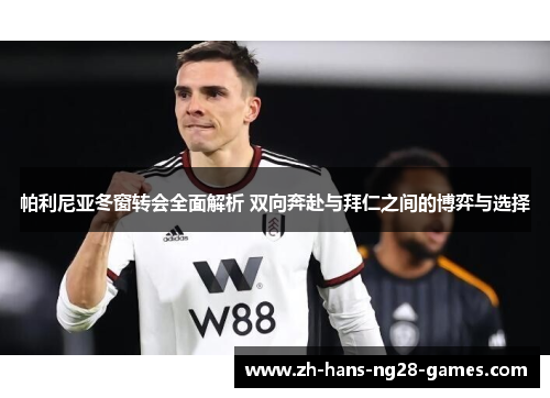帕利尼亚冬窗转会全面解析 双向奔赴与拜仁之间的博弈与选择
