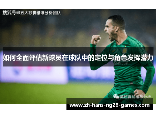 如何全面评估新球员在球队中的定位与角色发挥潜力