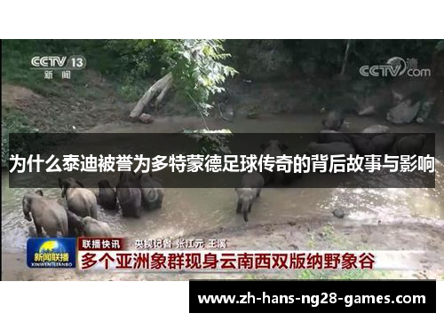 为什么泰迪被誉为多特蒙德足球传奇的背后故事与影响