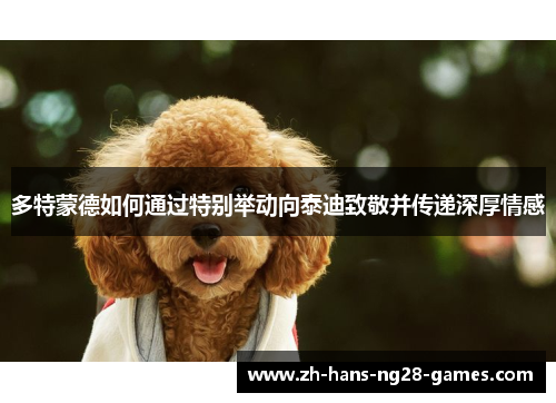 多特蒙德如何通过特别举动向泰迪致敬并传递深厚情感